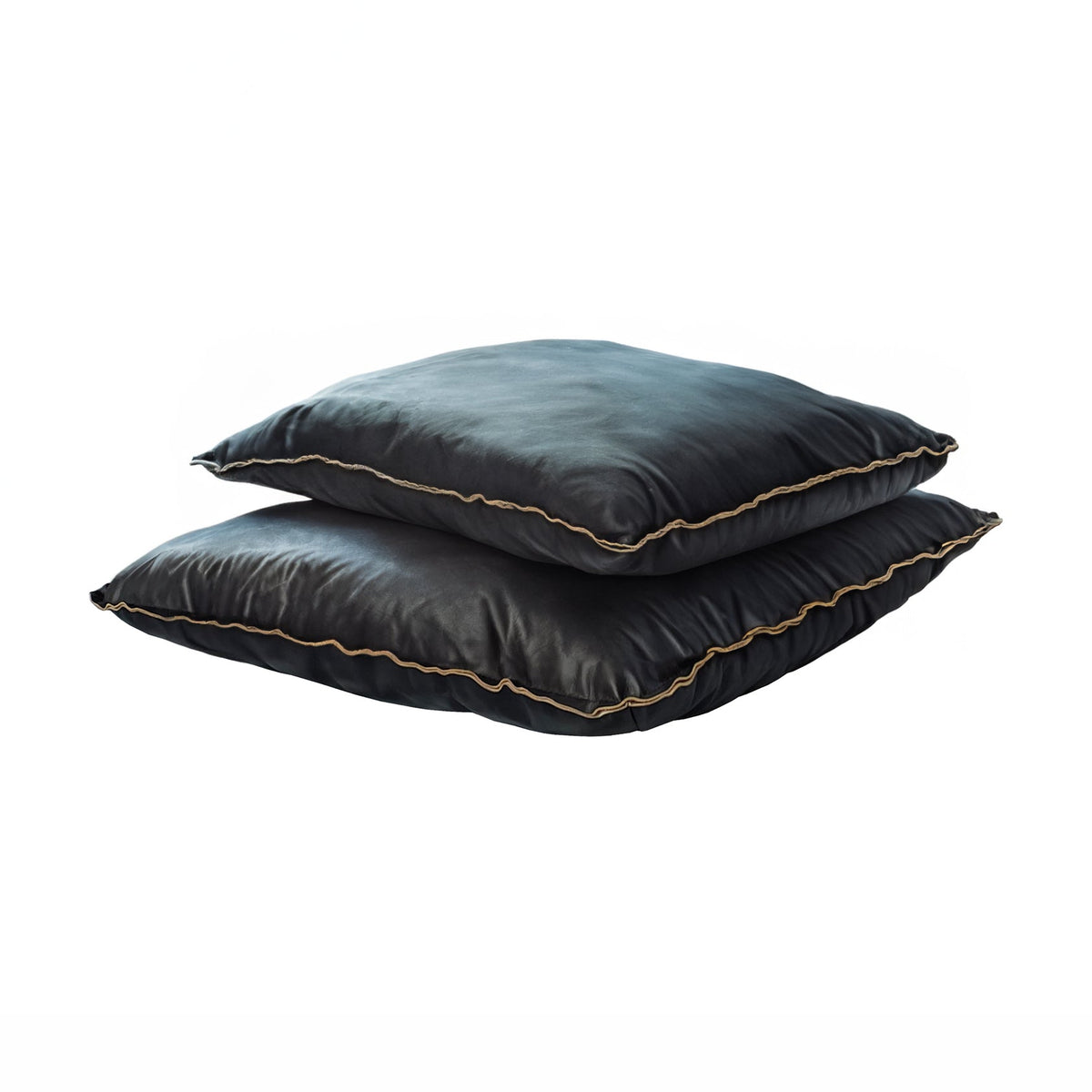 Relax Black Leather Cushions - comfortable cushion for adding softness to your sofa | Image 1 | InSTYLE Home & Rugs