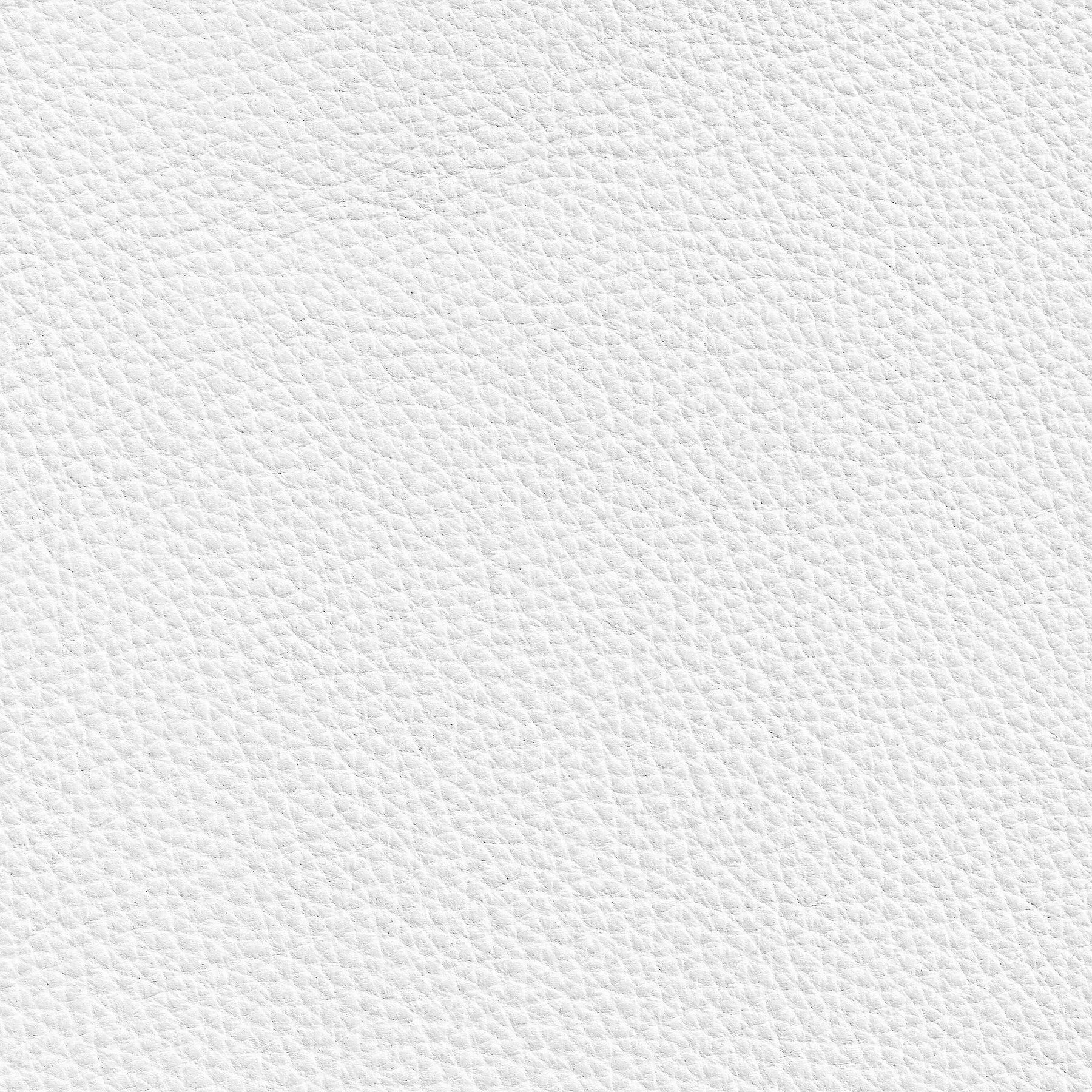 Monaco Dining Chair - elegant seating for dining areas | Image 7 | InSTYLE Home & Rugs