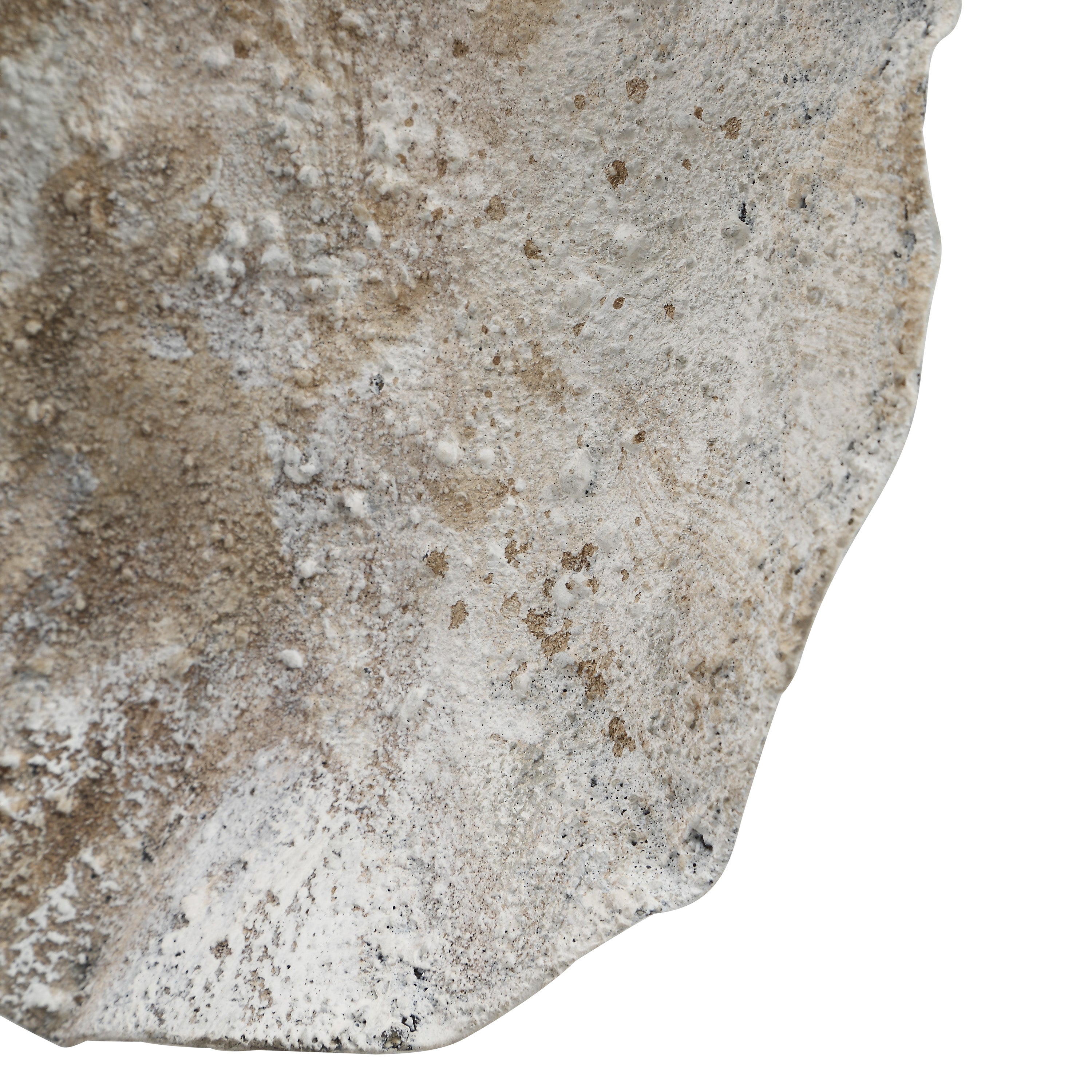 Zestia - transform your walls with stylish wall decor | Image 19 | InSTYLE Home & Rugs