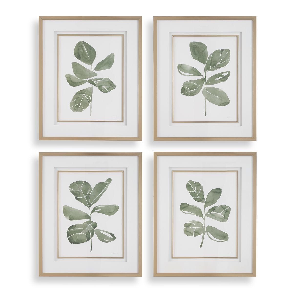 Fiddle Head Leaf Framed Prints, S/4 - timeless artwork that brings character to any space | Image 1 | InSTYLE Home & Rugs