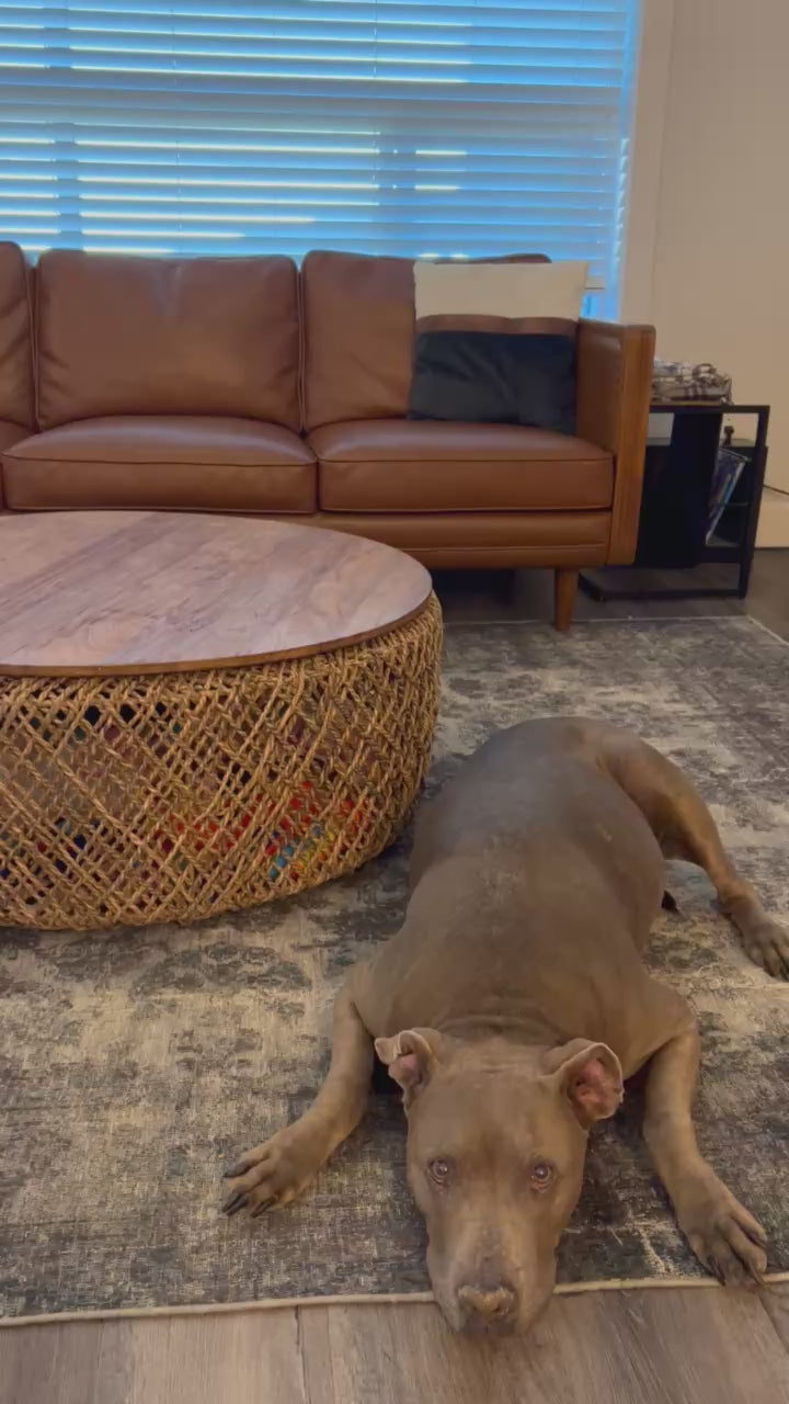 D-Bodhi Knut Coffee Table - functional centerpieces for homes | Image 22 | InSTYLE Home & Rugs