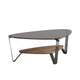 BDI Dino Small Coffee Table 1364