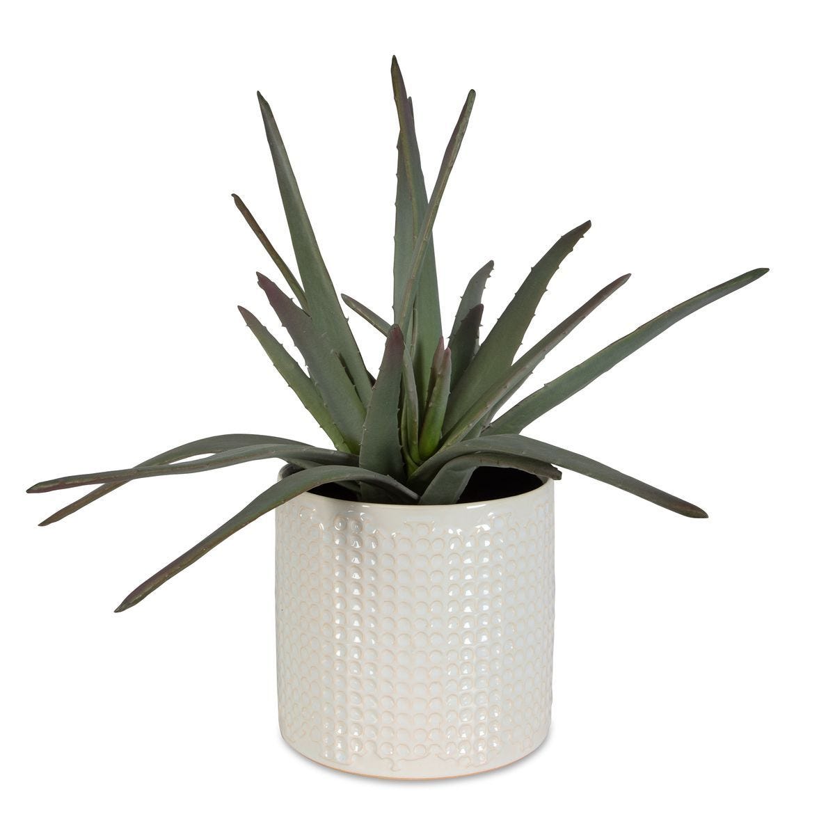 Taos Aloe Centerpiece - decor accents and accessories for every room | Image 1 | InSTYLE Home & Rugs