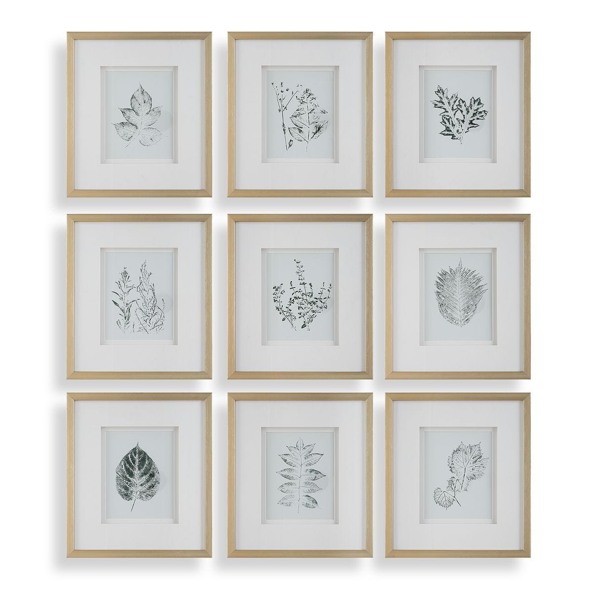 Nature's Script Framed Prints, S/9 - eye-catching art pieces to enhance your home design | Image 1 | InSTYLE Home & Rugs