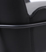 Dublin Chair - 16-N0322-1051 | InSTYLE Home & Rugs