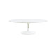 Marble Oval Coffee Table