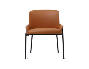 Dublin Chair | Image 1 | InSTYLE Home & Rugs