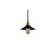 Harvest Pendant Light