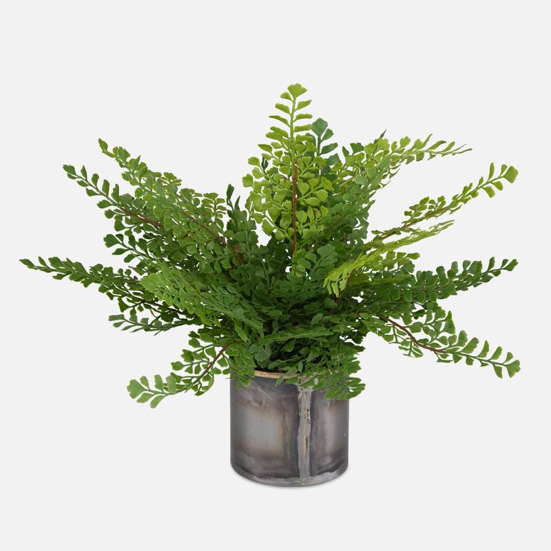 Maidenhair Fern Accent - stylish home accessories to complete your decor | Image 1 | InSTYLE Home & Rugs