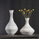 Potter Vases, S/2