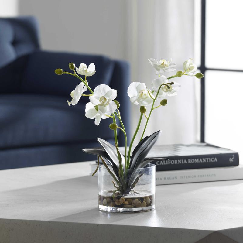 Glory Orchid, White - stylish home accessories to complete your decor | Image 1 | InSTYLE Home & Rugs