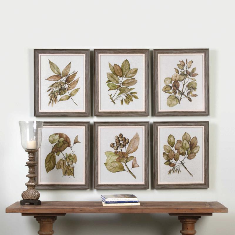 Seedlings Framed Prints, S/6 - bold and creative art for unique interior décor | Image 1 | InSTYLE Home & Rugs