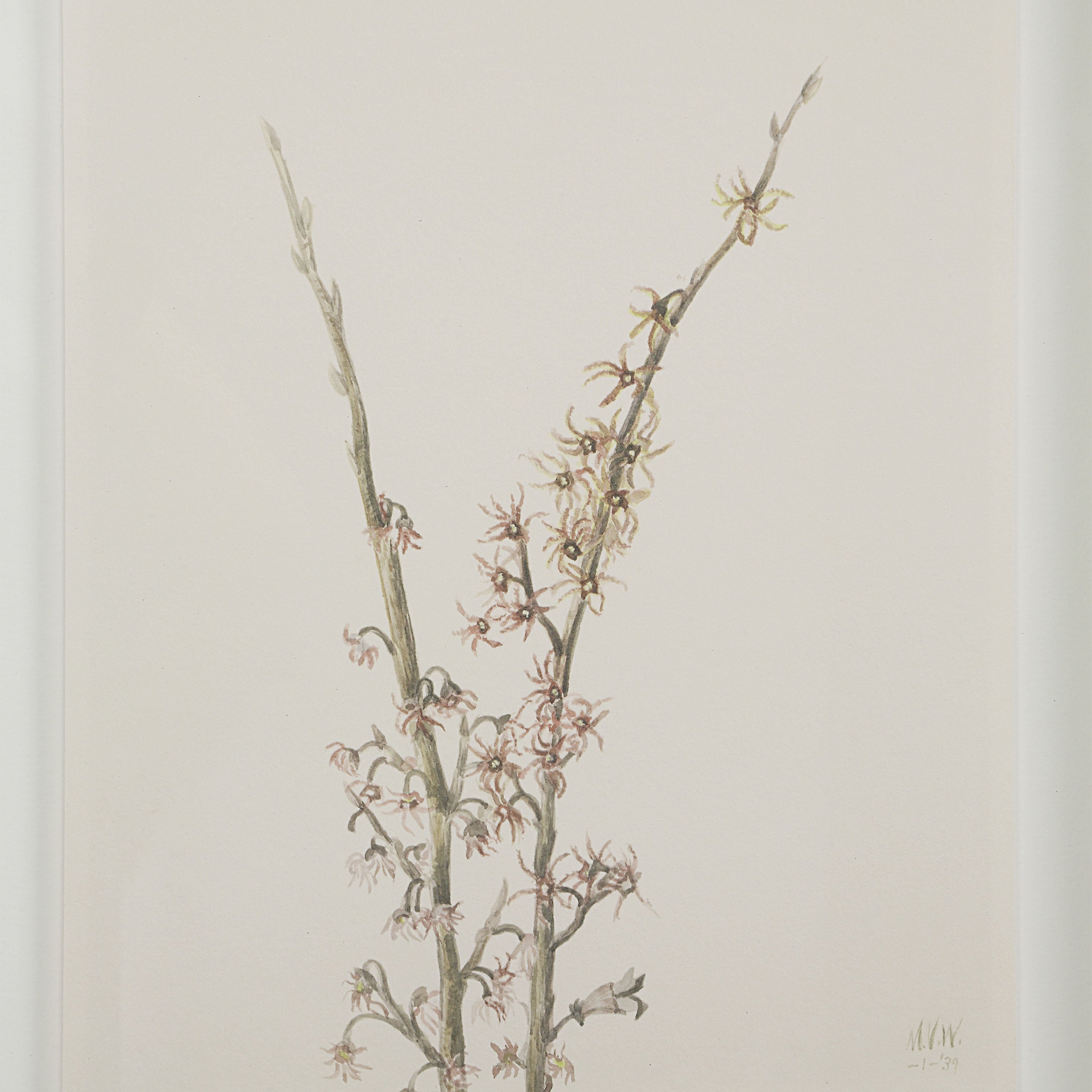 Crema - eye-catching art pieces to enhance your home design | Image 29 | InSTYLE Home & Rugs