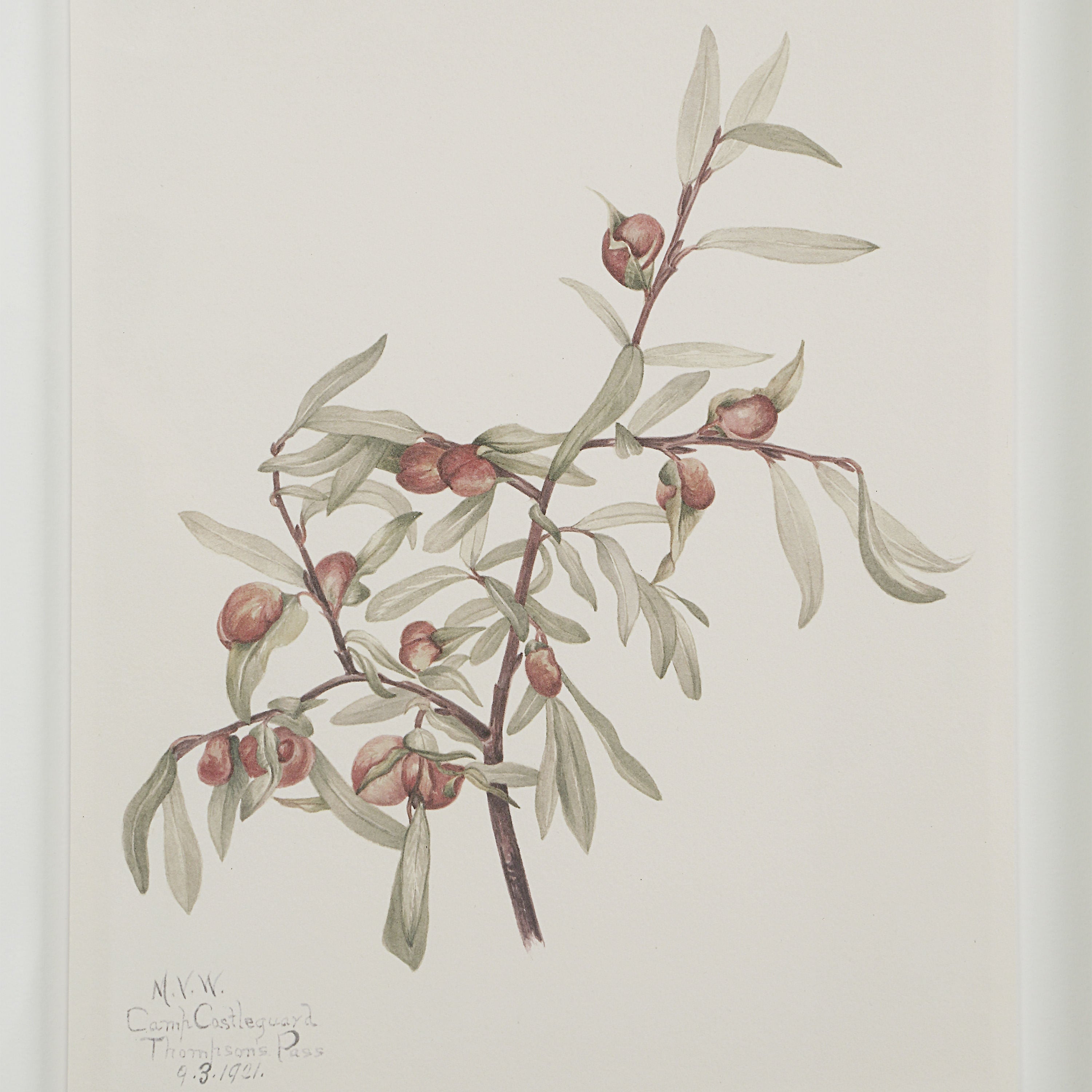 Crema - eye-catching art pieces to enhance your home design | Image 7 | InSTYLE Home & Rugs