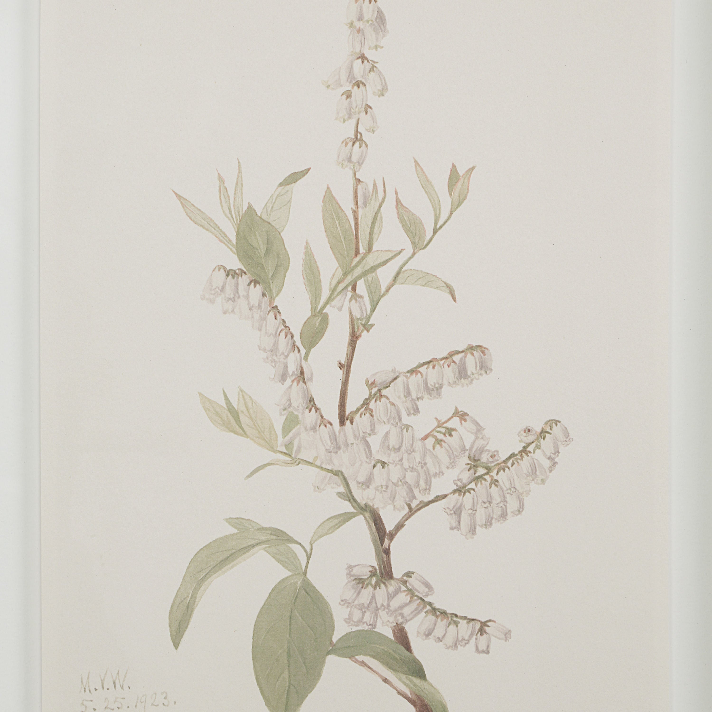 Crema - eye-catching art pieces to enhance your home design | Image 24 | InSTYLE Home & Rugs