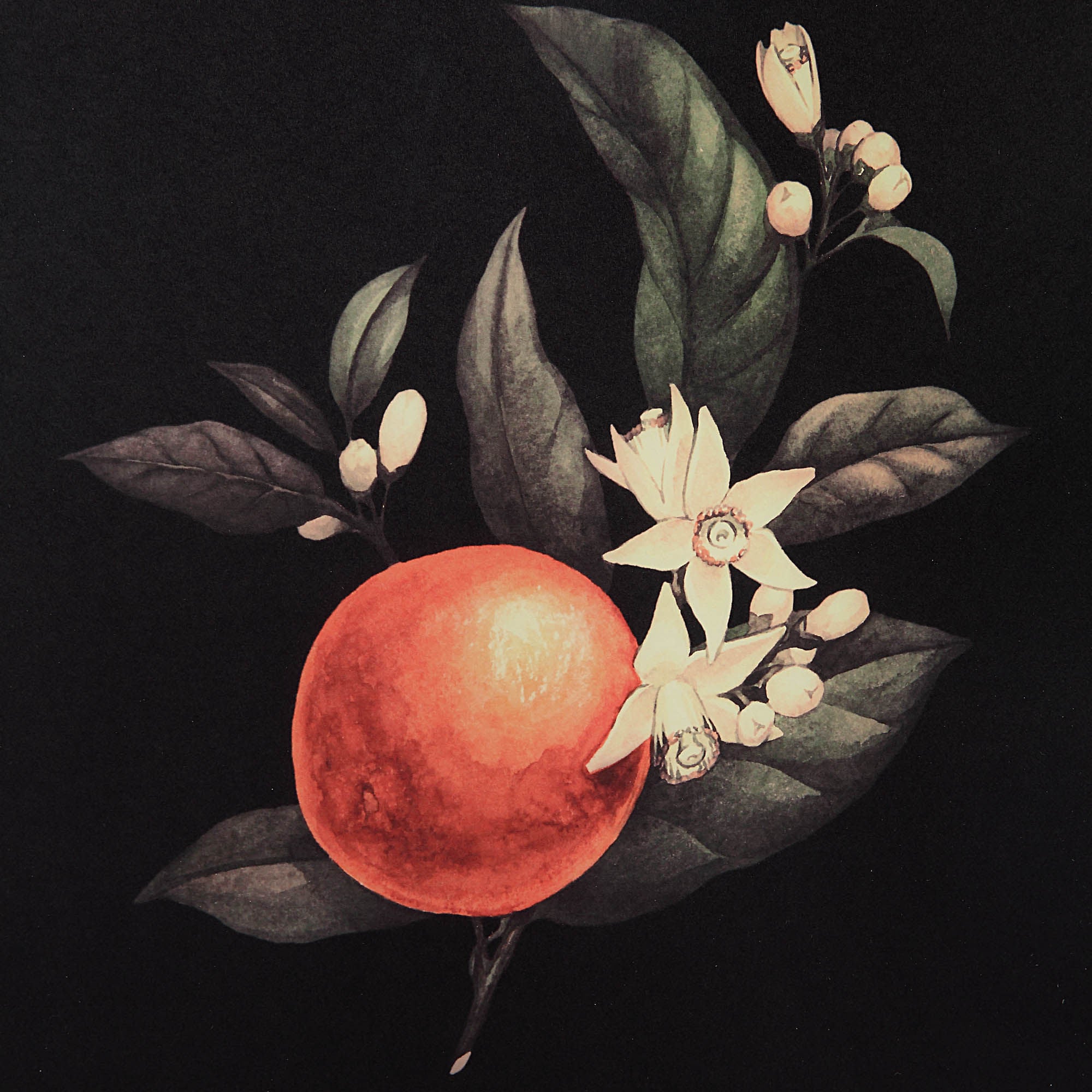 Wallflower - timeless artwork that brings character to any space | Image 19 | InSTYLE Home & Rugs