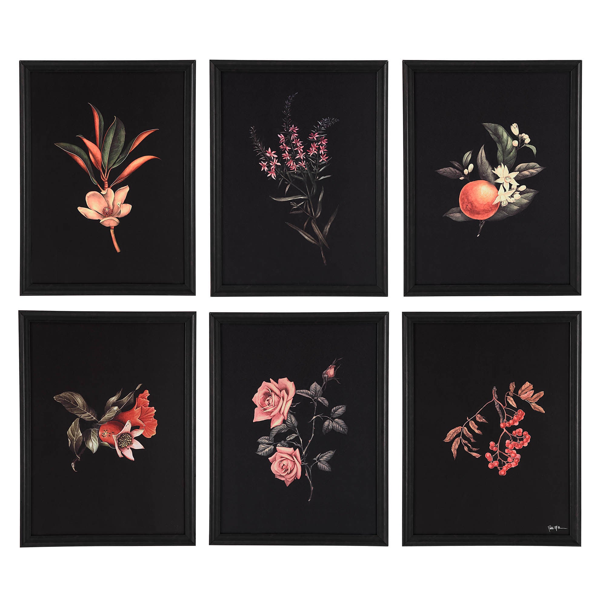 Wallflower - timeless artwork that brings character to any space | Image 1 | InSTYLE Home & Rugs