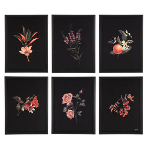 Wallflower - timeless artwork that brings character to any space | Image 1 | InSTYLE Home & Rugs