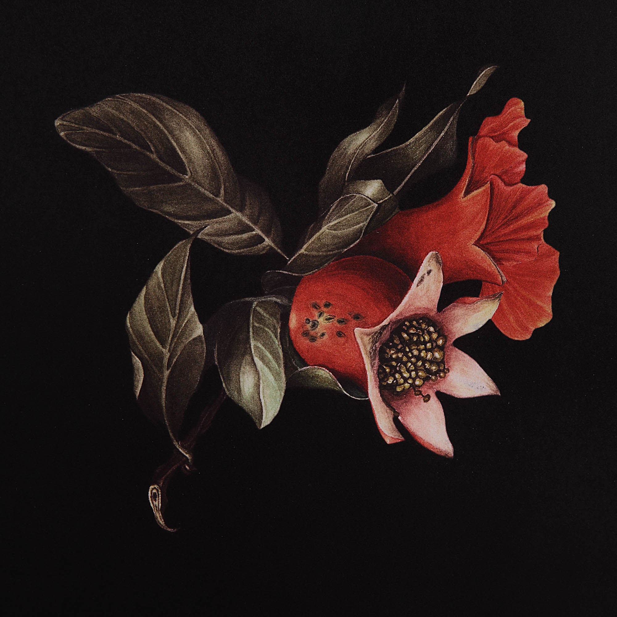 Wallflower - timeless artwork that brings character to any space | Image 10 | InSTYLE Home & Rugs