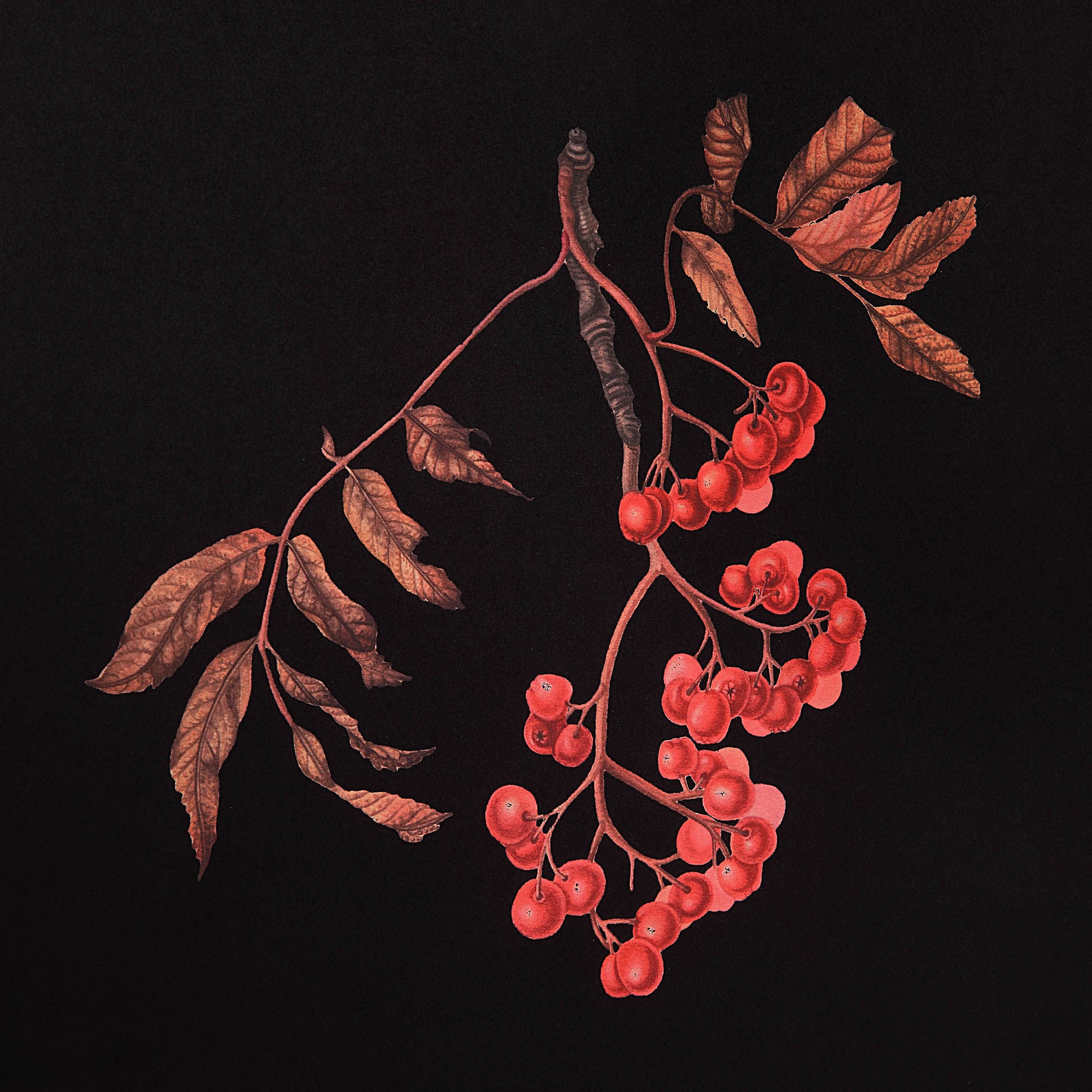 Wallflower - timeless artwork that brings character to any space | Image 5 | InSTYLE Home & Rugs