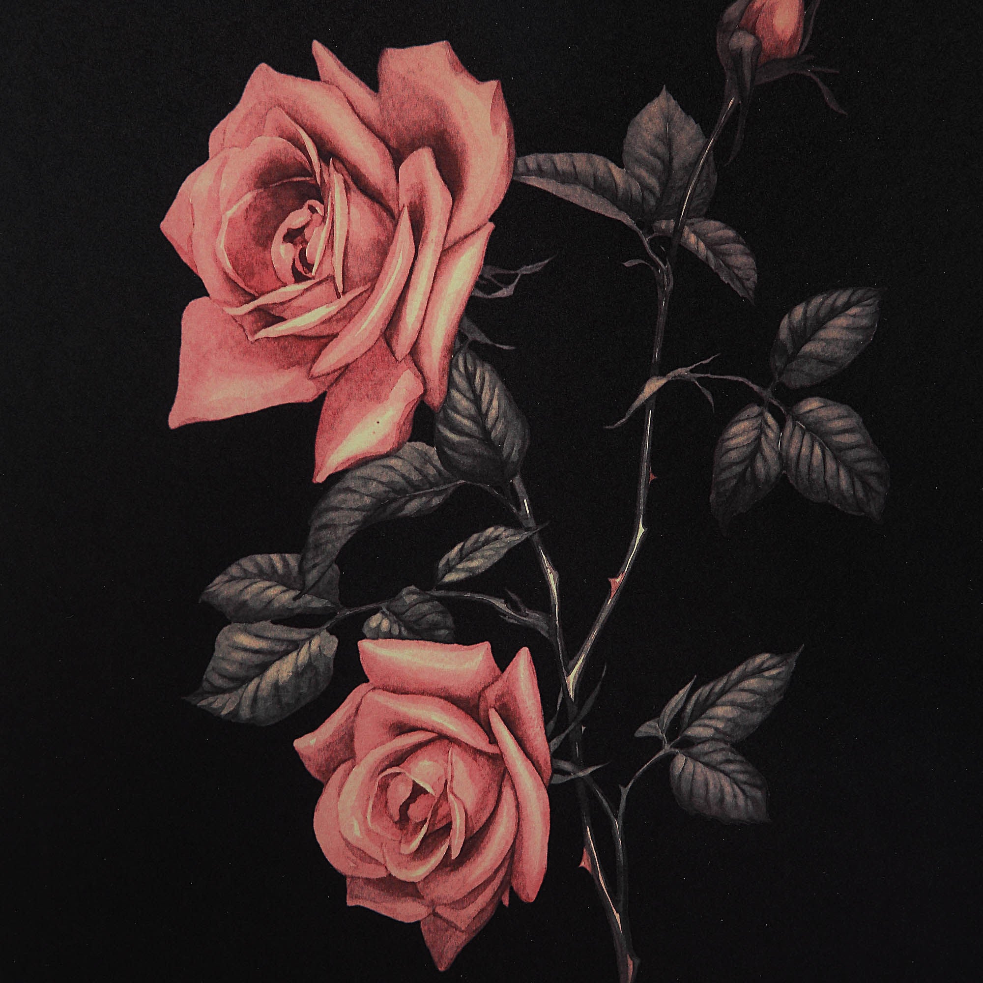 Wallflower - timeless artwork that brings character to any space | Image 24 | InSTYLE Home & Rugs