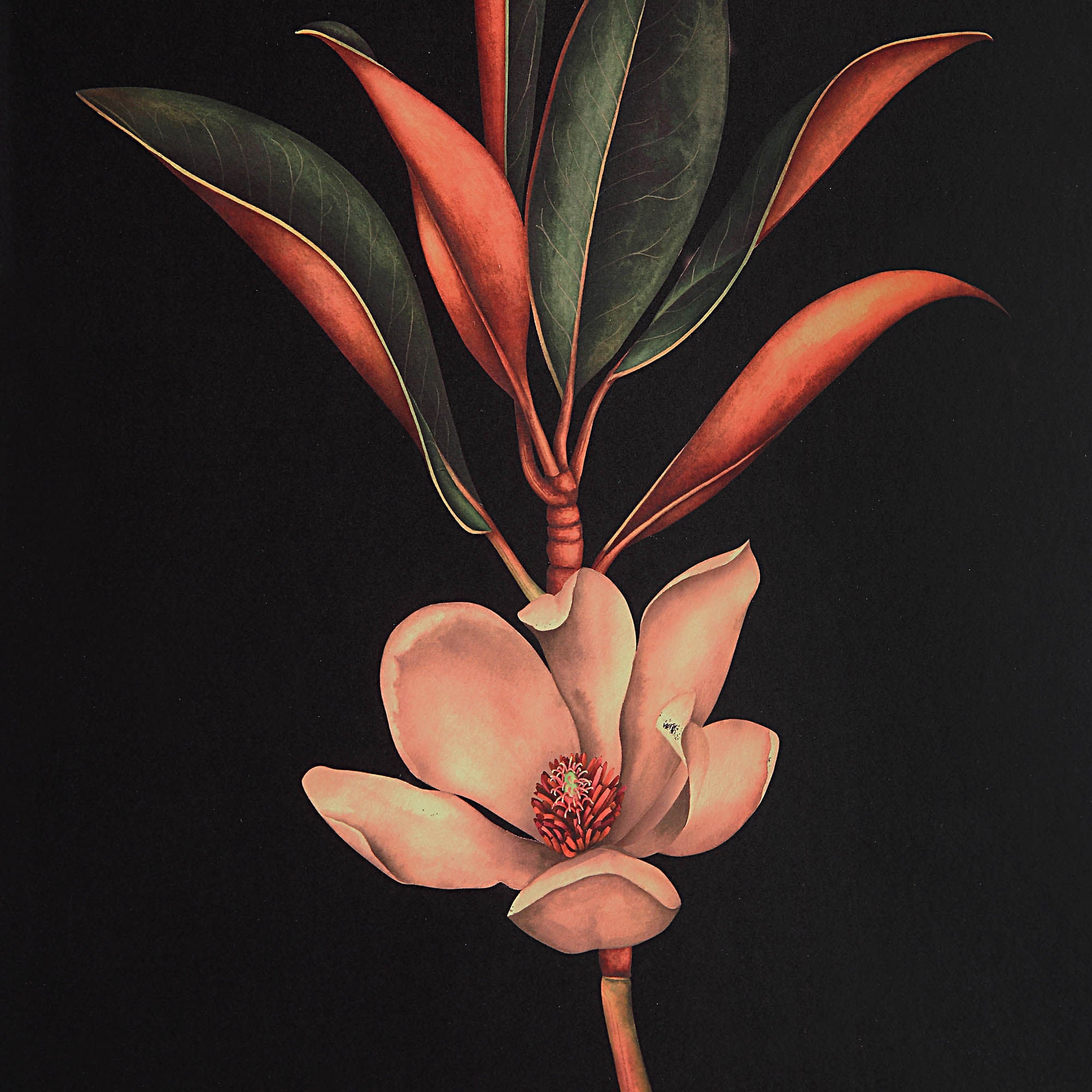 Wallflower - timeless artwork that brings character to any space | Image 4 | InSTYLE Home & Rugs