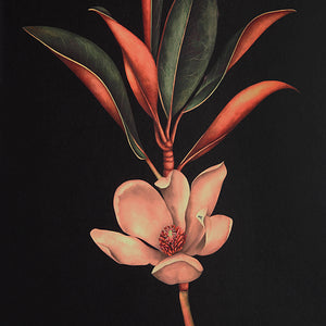 Wallflower - timeless artwork that brings character to any space | Image 4 | InSTYLE Home & Rugs