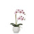 Phalaenopsis Potted 18" Faux Double Stem Orchid - Pink - www.instylehome.ca