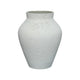 Amphora Medium Vase