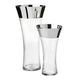 XC-256 Silver Glass Vase (Set of 2)